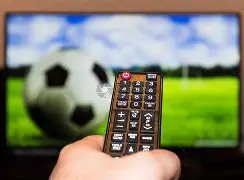 舒淇倡导领,养流浪宠物,拒绝购买宠,南宫28NG娱乐,南宫28NG娱乐官网