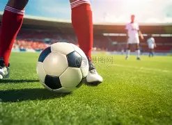 南宫娱乐,资讯,南宫28NG娱乐,南宫28NG娱乐,南宫28NG娱乐官网