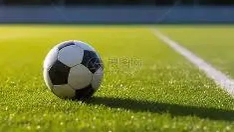 南宫娱乐 资讯 140552 85p